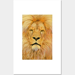 Simba pic Posters and Art